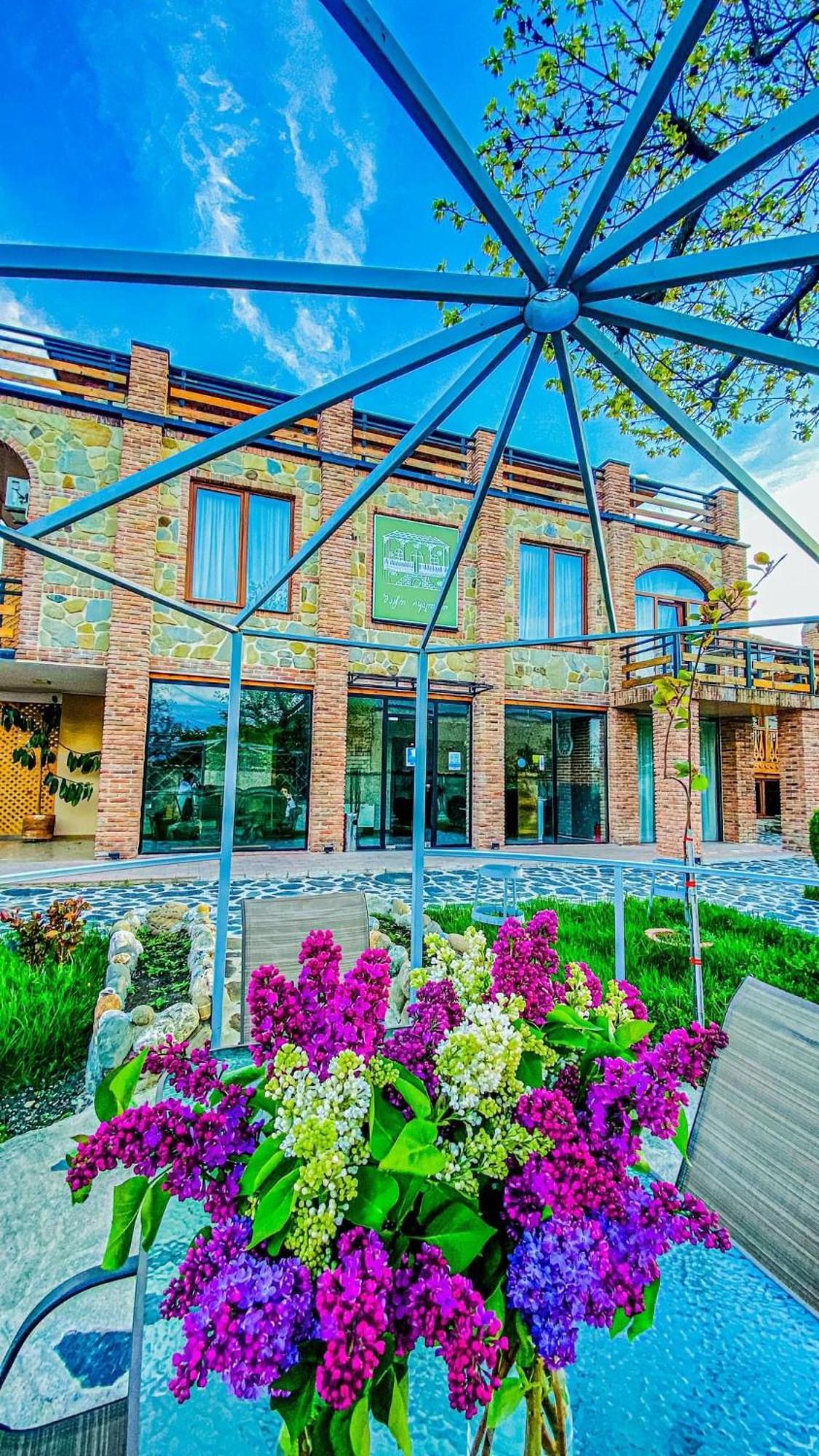Chateau Ikalto Exterior photo